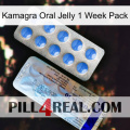 Kamagra Oral Jelly 1 Week Pack 39